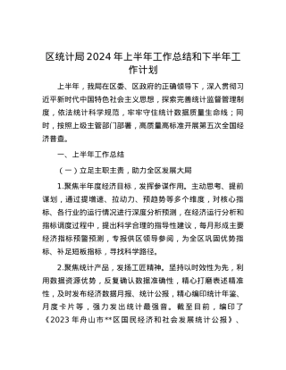 区统计局2024年上半年工作总结和下半年工作计划.docx