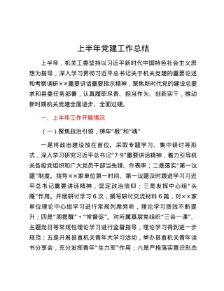 上半年党建工作总结.docx