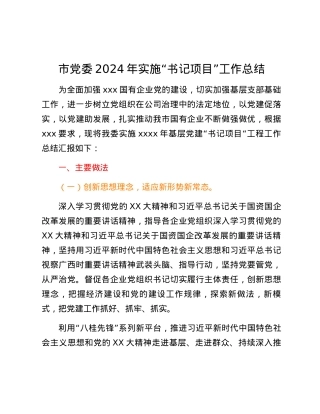 市党委2024年实施“书记项目”工作总结.docx