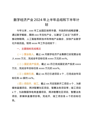 数字经济产业2024年上半年总结和下半年计划.docx