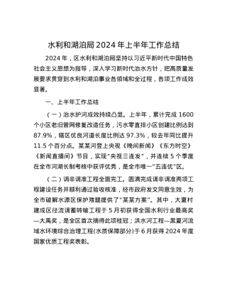 水利和湖泊局2024年上半年工作总结.docx