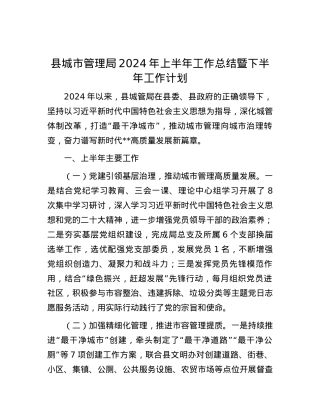 县城市管理局2024年上半年工作总结暨下半年工作计划.docx