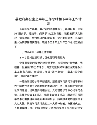 县政府办公室上半年工作总结和下半年工作计划.docx