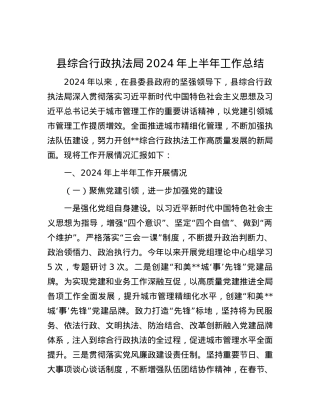 县综合行政执法局2024年上半年工作总结.docx