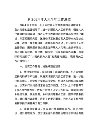 乡2024年人大半年工作总结.docx
