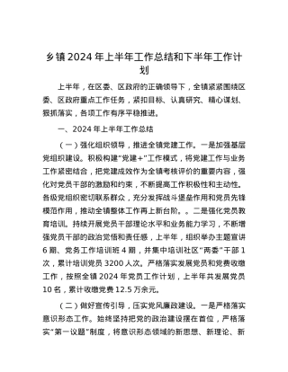 乡镇2024年上半年工作总结和下半年工作计划.docx