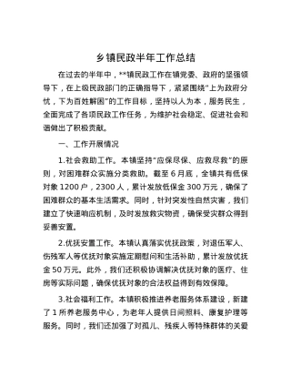 乡镇民政半年工作总结.docx
