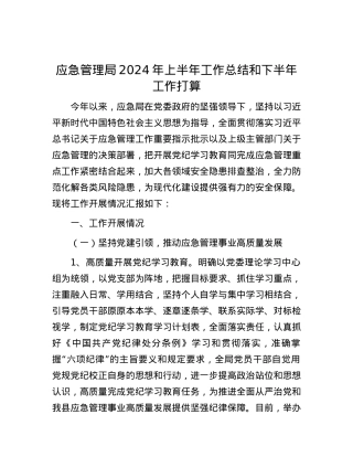 应急管理局2024年上半年工作总结和下半年工作打算.docx