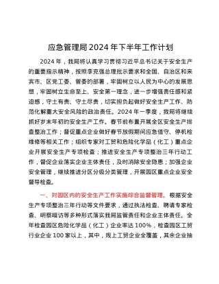 应急管理局2024年下半年工作计划.docx