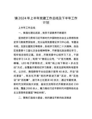 镇2024年上半年党建工作总结及下半年工作计划.docx