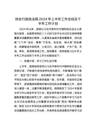 综合行政执法局2024年上半年工作总结及下半年工作计划.docx