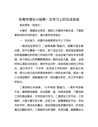 在青年理论小组第一次学习上的交流发言.docx