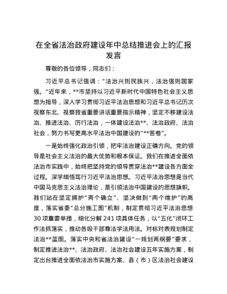 在全省法治政府建设年中总结推进会上的汇报发言.docx