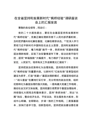 在全省坚持和发展新时代“枫桥经验”调研座谈会上的汇报发言.docx