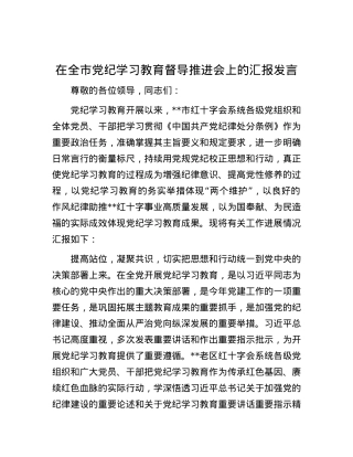 在全市党纪学习教育督导推进会上的汇报发言.docx