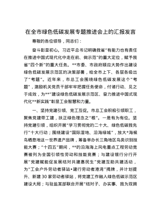 在全市绿色低碳发展专题推进会上的汇报发言.docx