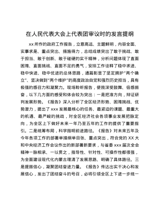 在人民代表大会上代表团审议时的发言提纲.docx