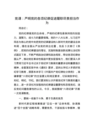 党课：严明党的各项纪律 促进履职尽责担当作为.docx