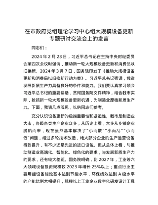 在市政府党组理论学习中心组大规模设备更新专题研讨交流会上的发言.docx
