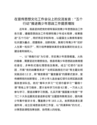 在宣传思想文化工作会议上的交流发言：“五个行动”推进青少年思政工作提质增效.docx