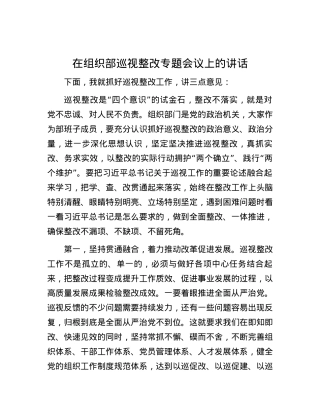 在组织部巡视整改专题会议上的讲话.docx