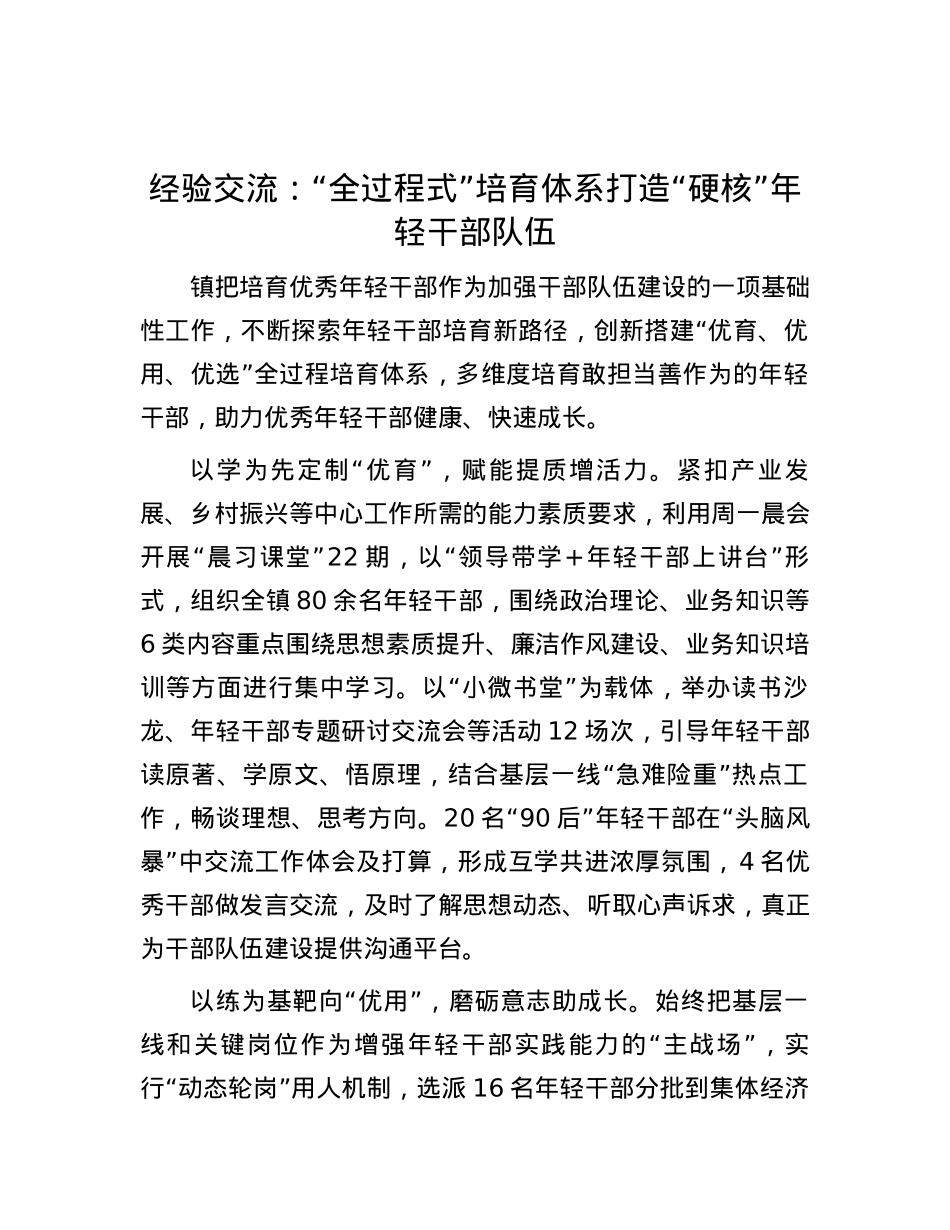 经验交流：“全过程式”培育体系 打造“硬核”年轻干部队伍.docx_第1页