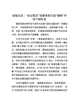 经验交流：“全过程式”培育体系 打造“硬核”年轻干部队伍.docx