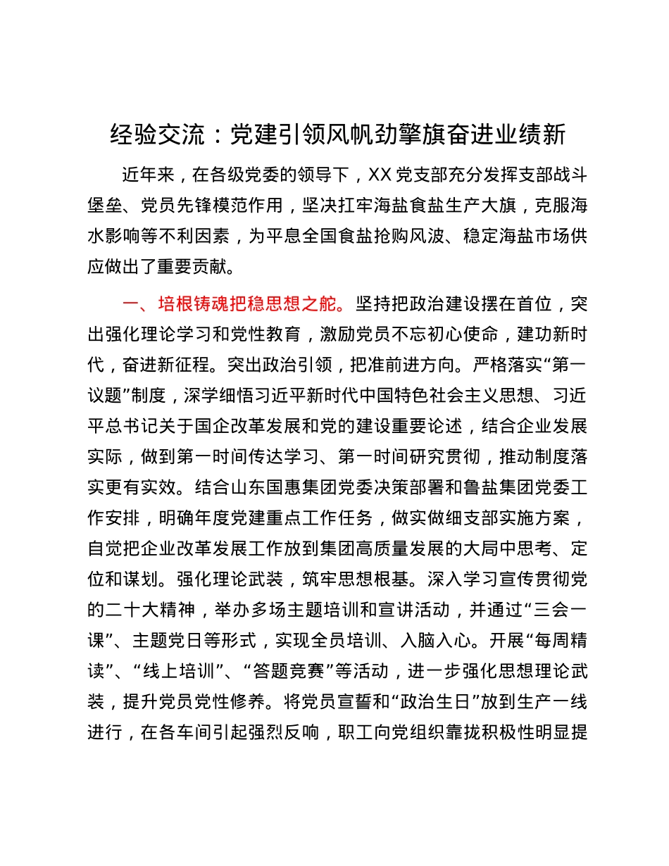经验交流：党建引领风帆劲 擎旗奋进业绩新.docx_第1页