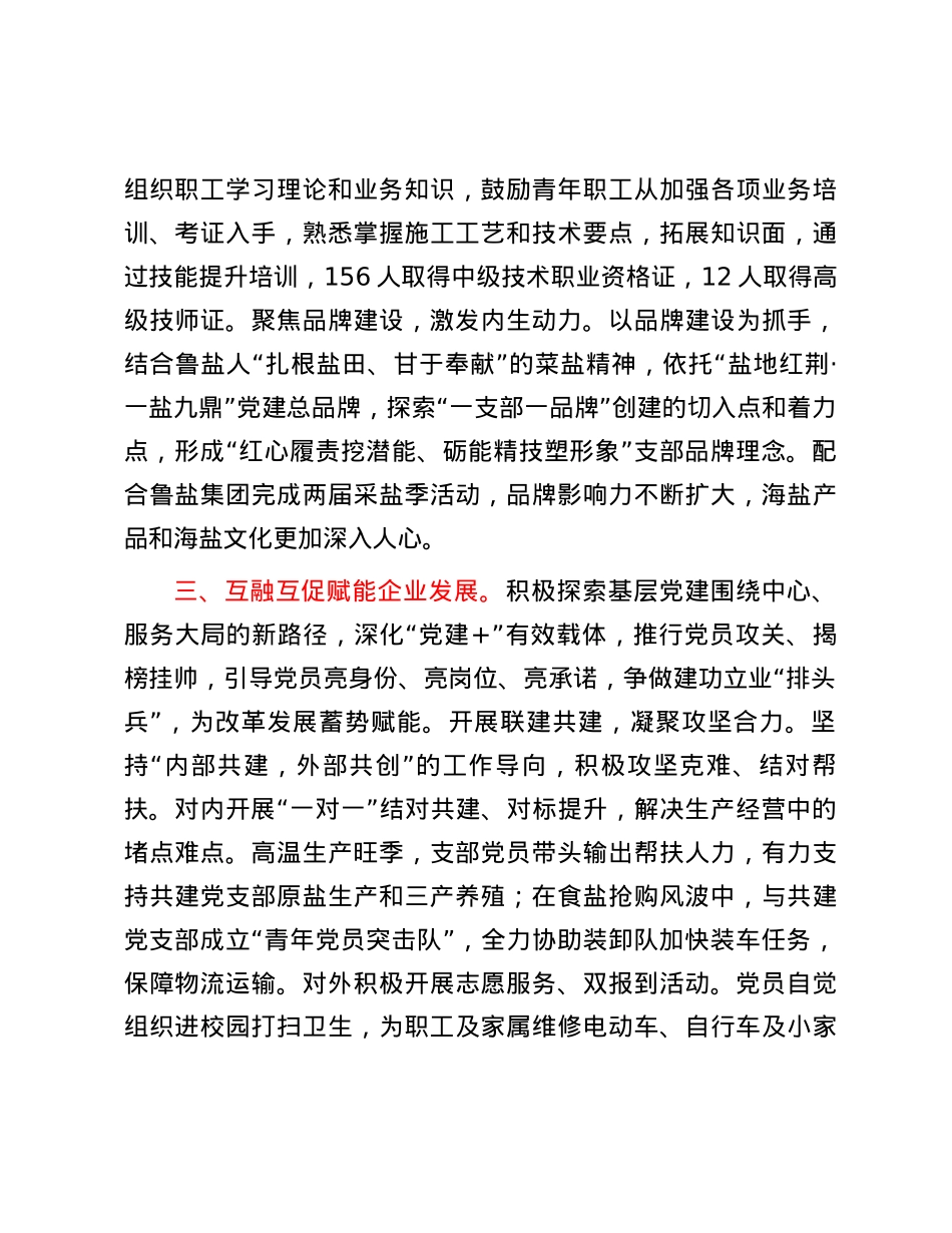 经验交流：党建引领风帆劲 擎旗奋进业绩新.docx_第3页
