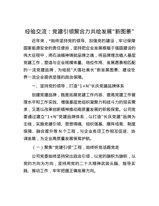 经验交流：党建引领聚合力 共绘发展“新图景”.docx