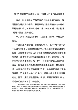 2023年党建工作典型材料：“党建＋政务”痛点变亮点.docx