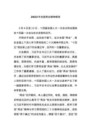 2023年全国两会精神感悟.docx