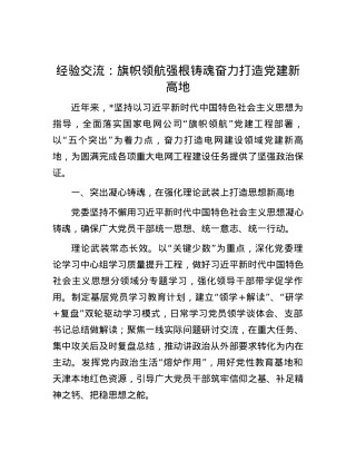 经验交流：旗帜领航 强根铸魂 奋力打造党建新高地.docx