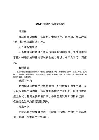 2024两会十二个关键词新词热词解读.docx