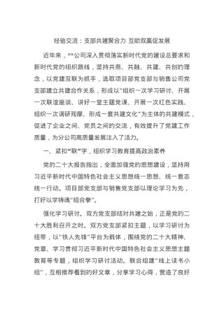 经验交流：支部共建聚合力 互助双赢促发展.docx