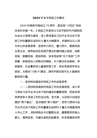 2024年X市民政工作要点.docx
