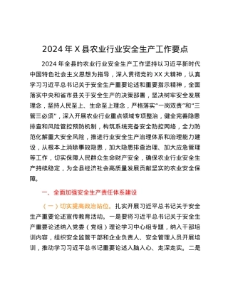 2024年X县农业行业安全生产工作要点.docx