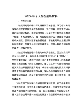 2024年个人检视剖析材料.docx