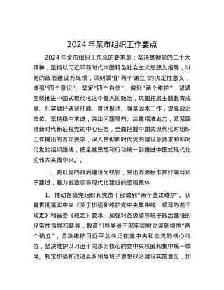 2024年某市组织工作要点.docx