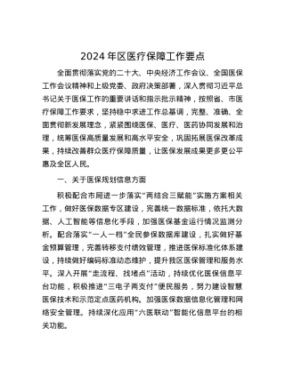 2024年区医疗保障工作要点.docx
