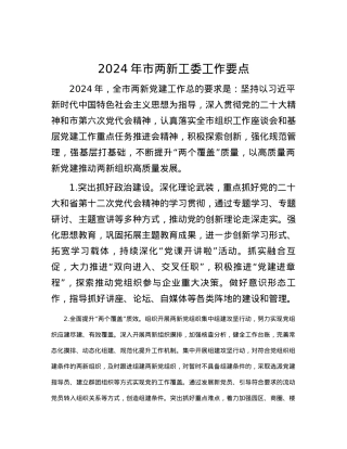 2024年市两新工委工作要点.docx