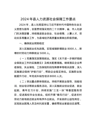 2024年县人力资源社会保障工作要点.docx