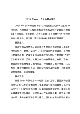 2024年中央一号文件要点速览.docx