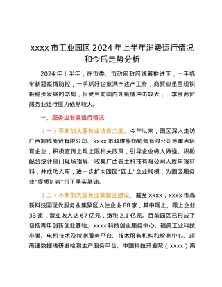 xxxx市工业园区2024年上半年消费运行情况和今后走势分析.docx