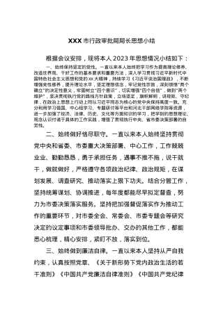 XXX市行政审批局局长思想小结.docx