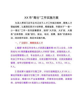 XX市“青壮”工作实施方案.docx
