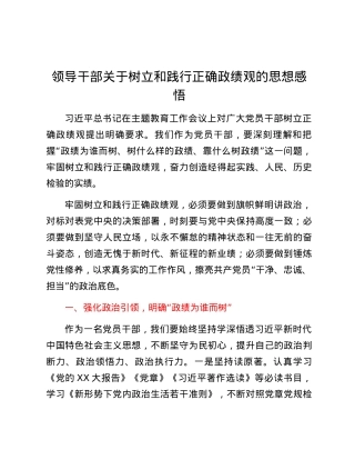 领导干部关于树立和践行正确政绩观的思想感悟.docx