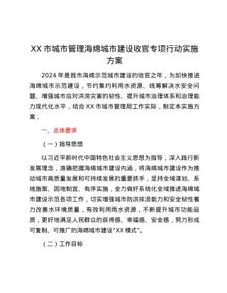 XX市城市管理海绵城市建设收官专项行动实施方案.docx