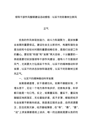 领导干部作风整顿建设活动感悟：以实干的形象树立新风正气.docx