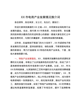 XX市电商产业发展情况推介词.docx